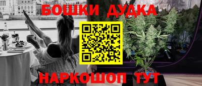 индика Краснознаменск