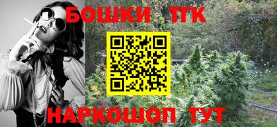 индика Краснознаменск
